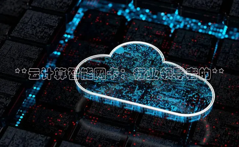 意昂4官网百度翻译**云计算智能网卡：行业领导者的**