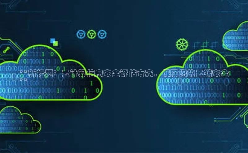 意昂体育4阿里尔公司**新标题：云计算信息安全评估专家，保障您的云端安全
**