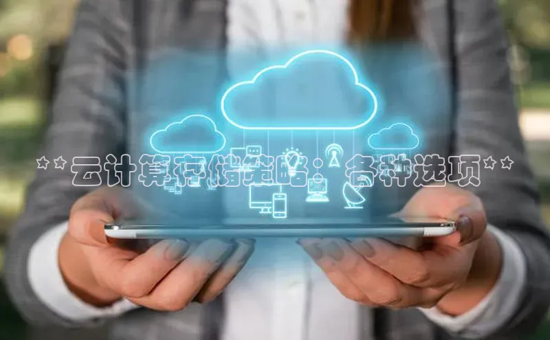 EON4百度移动开放平台**云计算存储策略：各种选项**