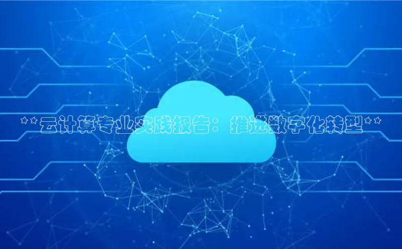 意昂体育4官网宇信科技**云计算专业实践报告：推进数字化转型**