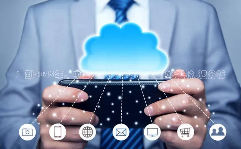 ：到2025年，中国AI软件市场的发展趋势与机遇分析