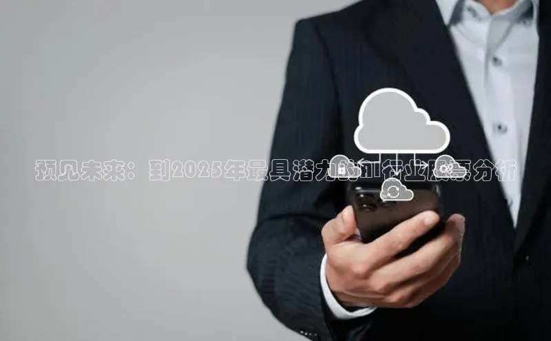 预见未来：到2025年最具潜力的AI行业股票分析